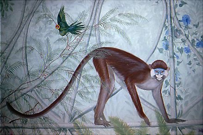 Monkey & Parrot